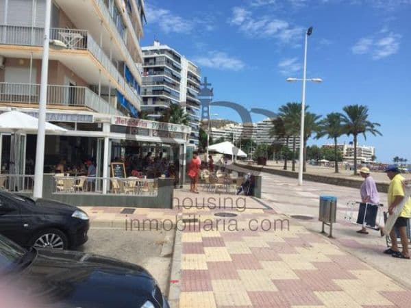 Heladería a pie de playa - Imagen 4